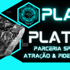 Setup Platina